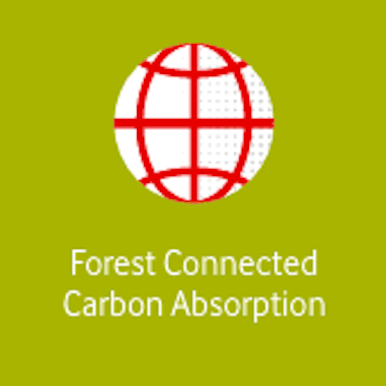 Forest Connected Carbon Absorption