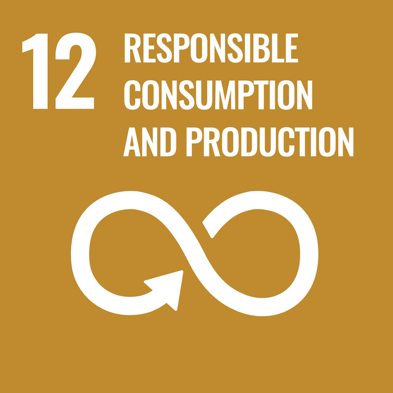 Ensure sustainable consumption and production patterns