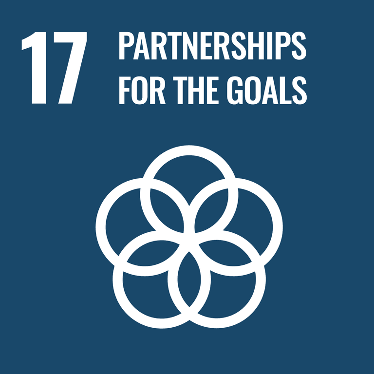 Strengthen the means of implementation and revitalize the global partnership for sustainable development