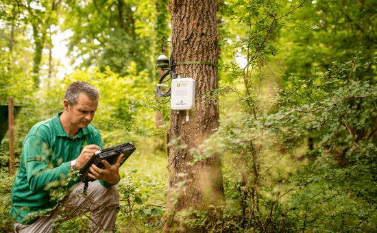 iot-connected-forests