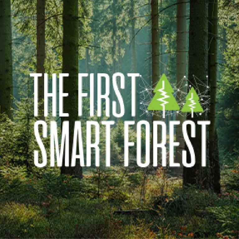 Smart forest