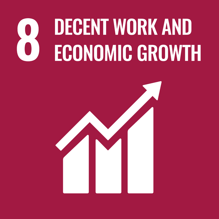 Promote sustainable economic growth and decent work for all 