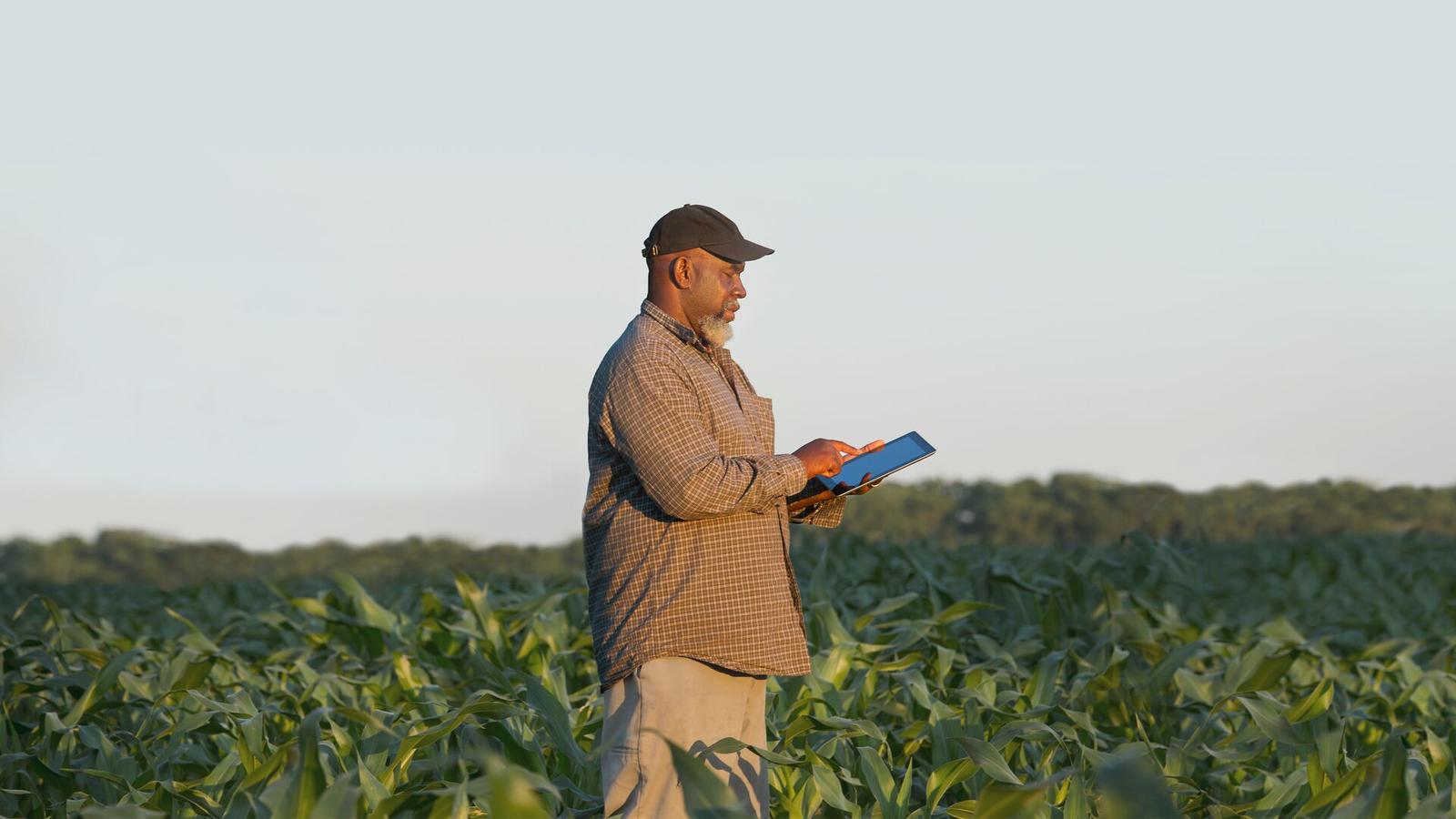Man in the field with tablet