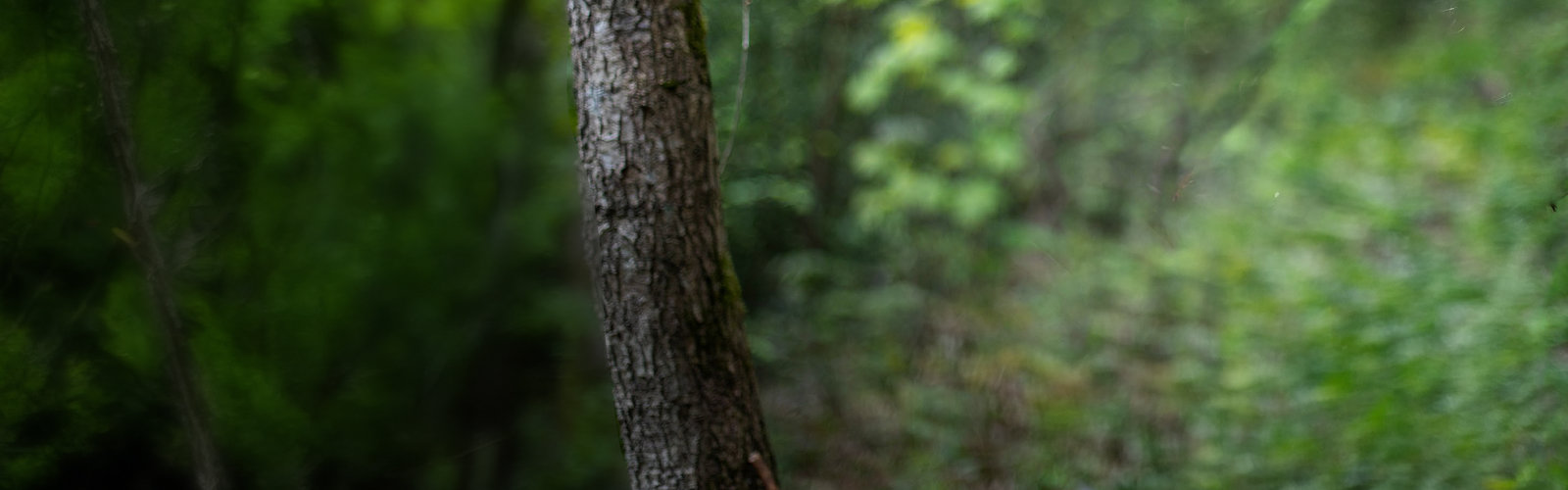 Protecting the Planet