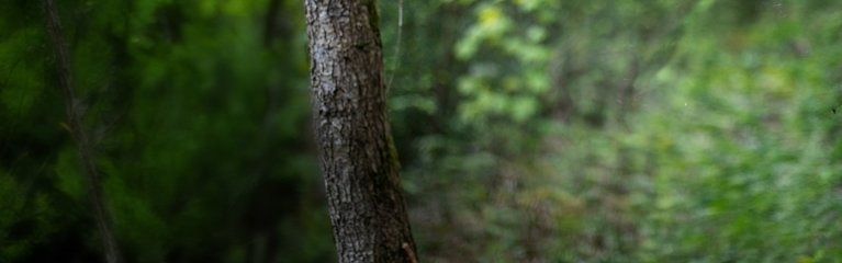 Protecting the Planet