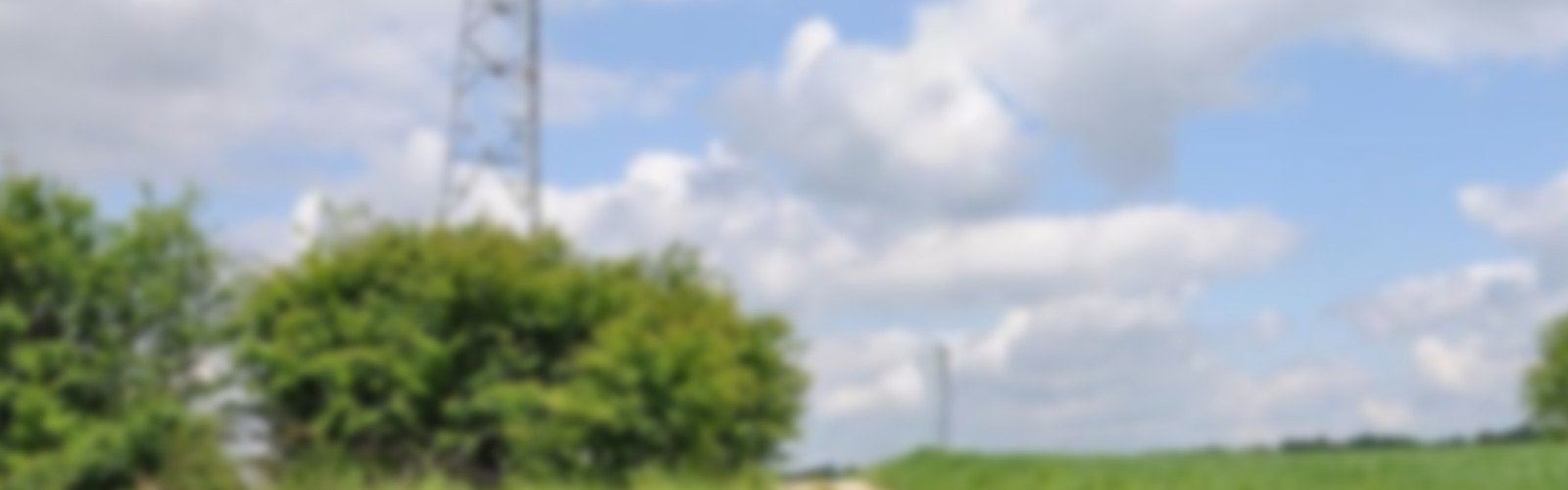 Safety Health Wellbeing