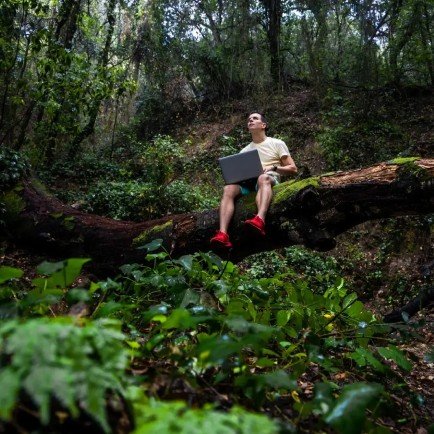 Man with laptop in forest