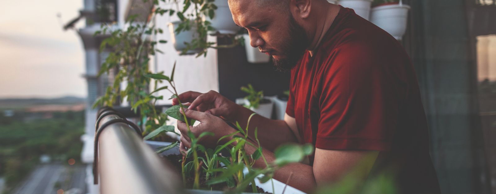 Accelerating the energy and green transition