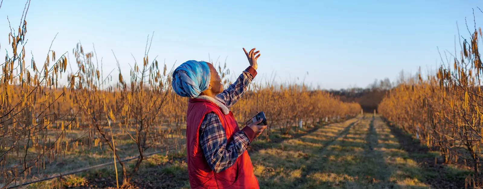 Enabling rural and agricultural transformation