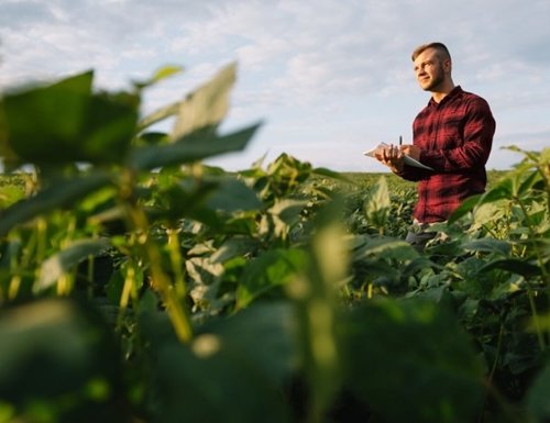 Sustainability approach