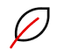 leaf-icon