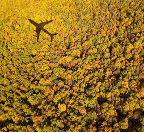 European Commission illegal state aid investigations