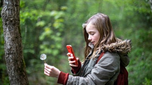 We protect the planet